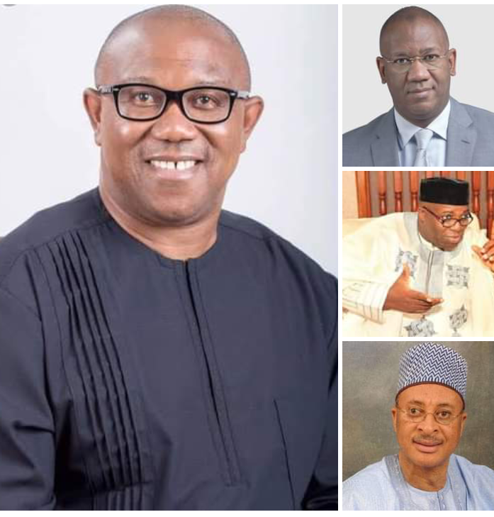 Who are these obidients?, by Femi Fani-Kayode