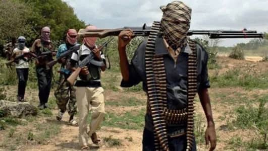 Taraba, Plateau bandits amputate baby, kill 10