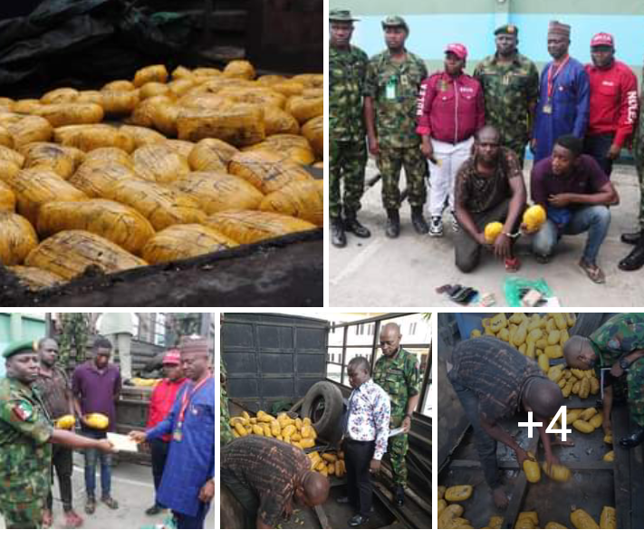 Nigerian army intercepts 792 parcels of marijuana at Ilaro-Benin Republic border