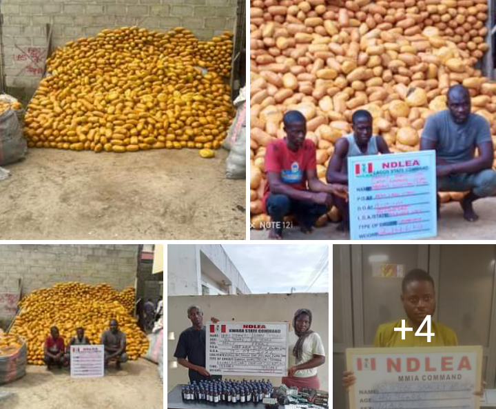 NDLEA arrests 75-year-old grandfather, 21 others for tons of illicit drugs seized in seven states