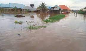 Flooding: Buhari meets leadership of Governors’ Forum, pledges intervention