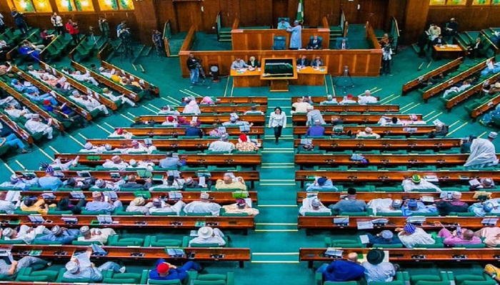 Audit Report: Reps Committee summons Accountant General of the Federation over MDAs’ financial accounts