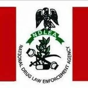 We made no request to buy sniffer dogs in 2023 budget- NDLEA
