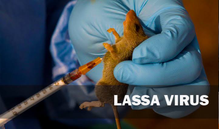 Lassa Fever: FMC Owo calls for more intervention in treatment of patients