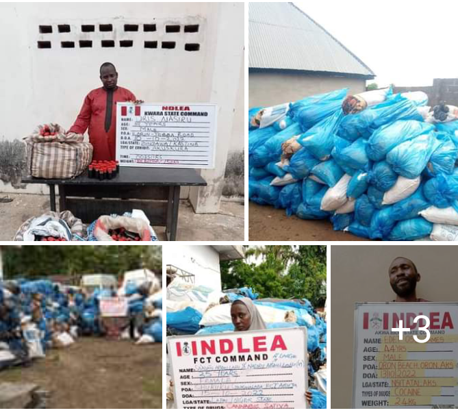 Pregnant woman, female undergraduate, 26 others arrested with tons of illicit drugs in NDLEA raids across FCT, 12 states