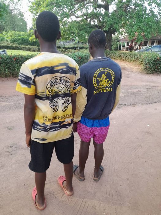 Vigilance netwok apprehends two persons for ritual activities in Edo