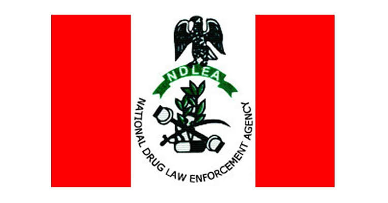 NDLEA nabs 793 drug suspects in Abuja