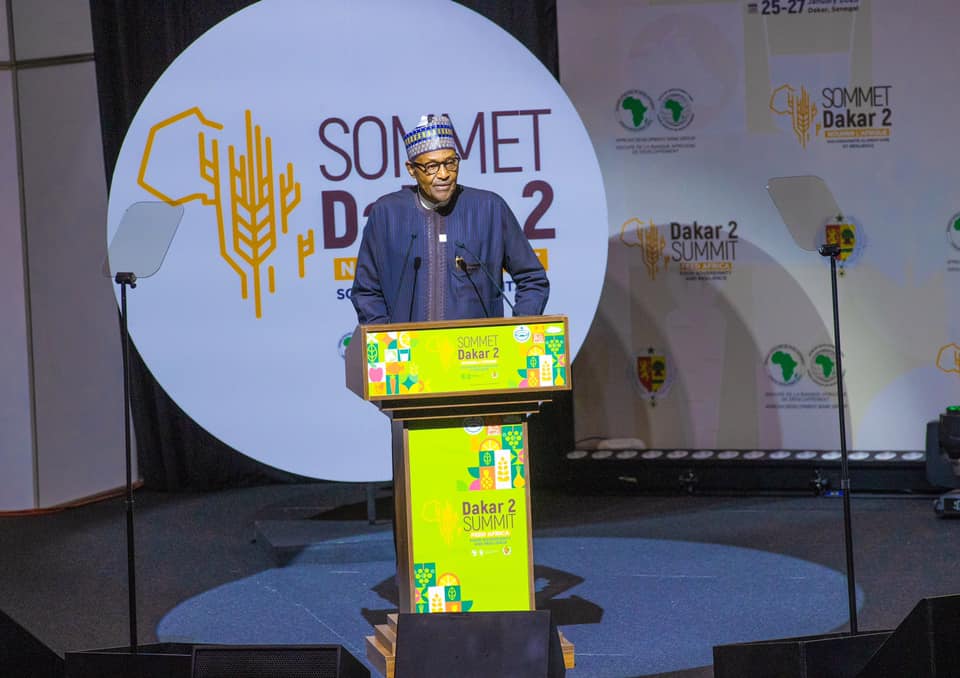 How Africa can feed itself, produce surplus for export – Buhari