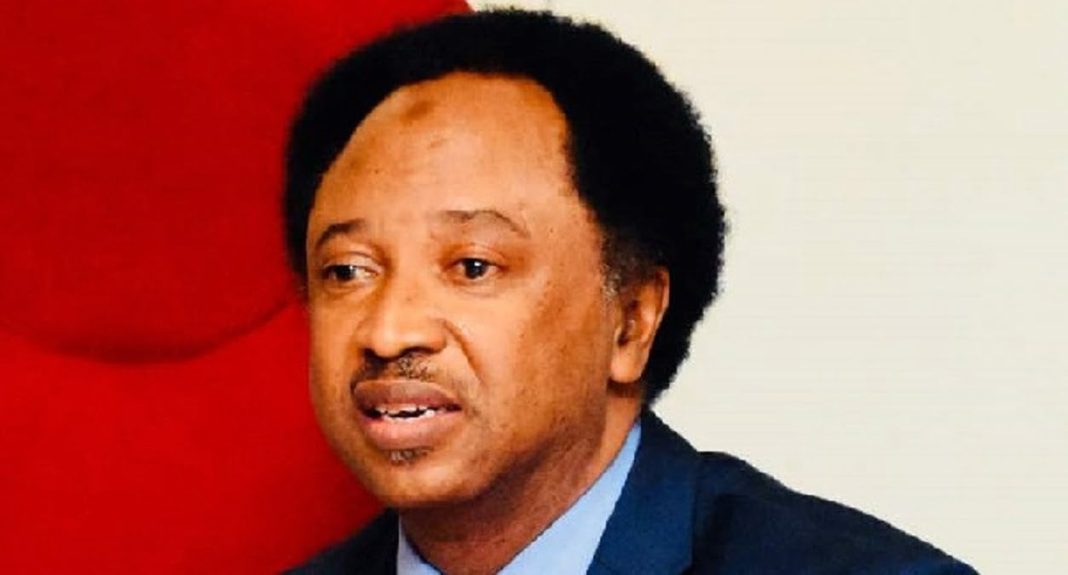Osun State: Sad day for democracy-Shehu Sani reacts to Adeleke’s sack by tribunal