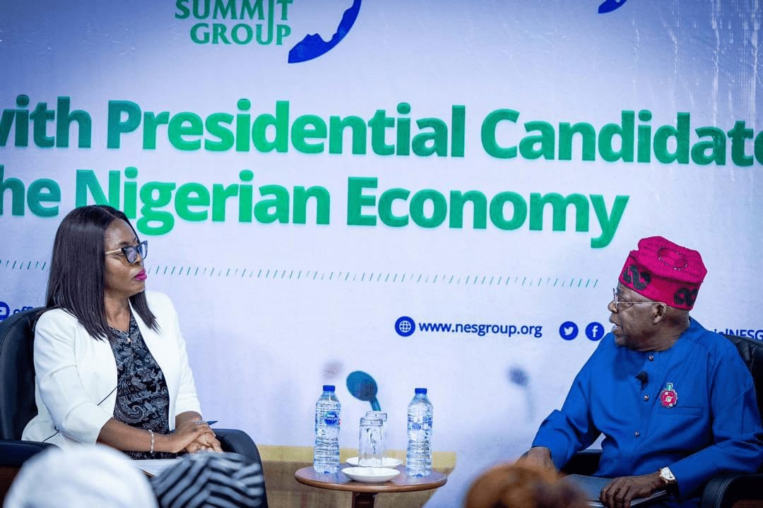 Tinubu presents economic plans at NESG presidential dialogue