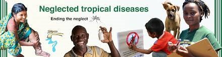 Edo govt targets elimination of neglected tropical diseases