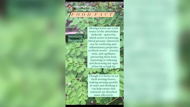 Eat your greens: Impact of Moringa leaves on blood sugar levels