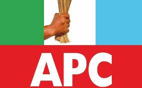 Delta APC rejects guber poll results, says announcement has thrown state into mourning