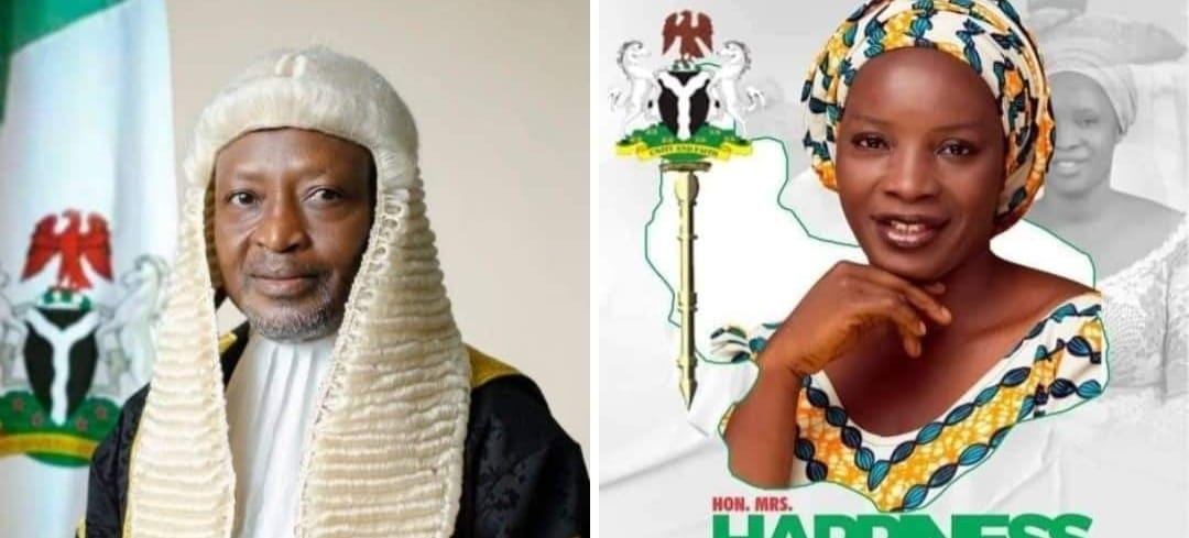 Female PDP candidate, Happiness Mathew Akawu, defeats Plateau Assembly Speaker