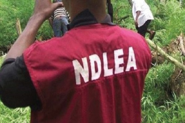 FG approves N5bn to construct barracks for NDLEA officers