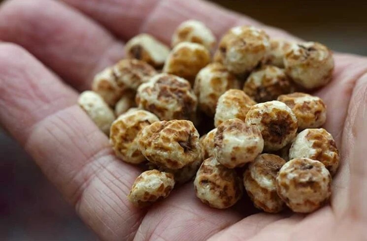 Nine Health Benefits of Tiger Nuts
