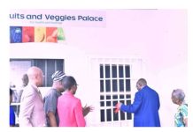 Medical expert highlights importance of eating fruits, vegetables