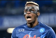 Bayern plot move for Osimhen