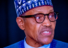 Pomp and ceremony in Katsina as Buhari returns home