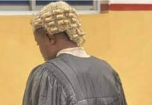 I practised as fake lawyer to spite my SAN father for denying me —Suspect Lawyer in shock as client becomes pregnant for husband in course of divorce proceedings