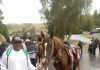 Jerusalem-Pilgrimage: How Uzodinma’s aide returned $1.2m forgotten by Polish-Owner
