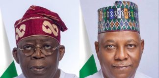 Tinubu, Shettima: The epidemic of economic, insecurity in Nigeria, By James Bwala