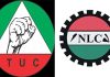 Workers Strike: More suspense as NLC, TUC consider FG’s offerings in last-ditch moves to avert action