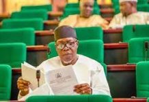 10th NASS: Ihonvbere emerges Majority Leader; Chinda is Minority Leader