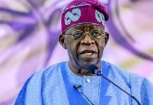 Between the dialectics and the benefits of petroleum subsidy removal, By Paul Njowusi