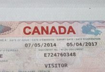 Canada launches new immigration pathways, targets Nigerian tech talent, others
