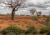 FG raises the alarm over worsening land degradation in the country