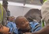 Kuje Prison certifies OBIdient supporter who opposed Tinubu’s inauguration “mentally unstable”