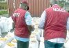 NDLEA intercepts 2.910kg cannabis sativa from Ghana
