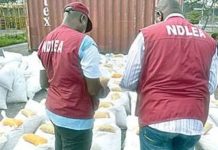 NDLEA intercepts 2.910kg cannabis sativa from Ghana