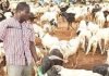 Eid-el-Kabir: “I spend N1m on checkpoint settlements from north to Calabar” – Livestock dealer