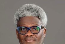 PREMIUM TIMES Books unveils Ibietan’s book on Cyber Politics, Nigerian Elections