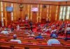 Senate to probe 10,000 abandoned projects