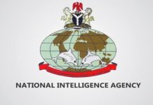 Wild allegations against NIA leadership, retired staff members kick, warn Amb Dauda