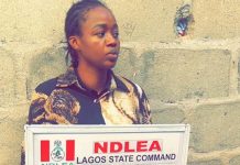 NDLEA arrests female lawyer for drug production
