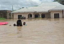 Massive flood looms in Nigeria as Cameroon is set to open dam