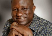 NFF constitutes Board of NPFL, names Otunba Elegbeleye as substantive chairman
