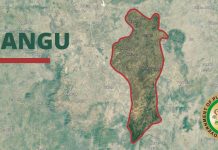 Plateau Attacks: Gov Mutfwang imposes 24-hr curfew on Mangu LGA