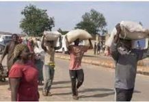 Police arrest 44 suspects for looting Adamawa Gov’t warehouse