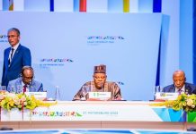 Shettima commends Nigerians in Russia on patriotism