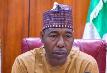 Zulum approves N62m scholarship for law, French language students