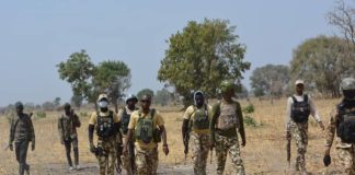 Troops kill 113 terrorists, arrest 300, recover $16,200