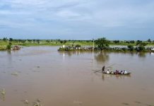 Flood submerges 700 houses, farmlands in Bauchi