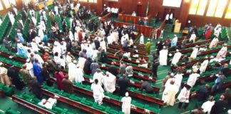 House of Representatives postpones plenary resumption to January 30