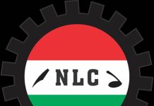 NLC replies World Bank on N750/Litre proposal, says ‘You’re an enemy of Nigeria’