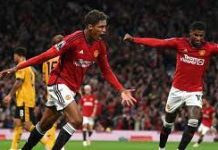 Man U survive late scare to beat impressive Wolves 1-0